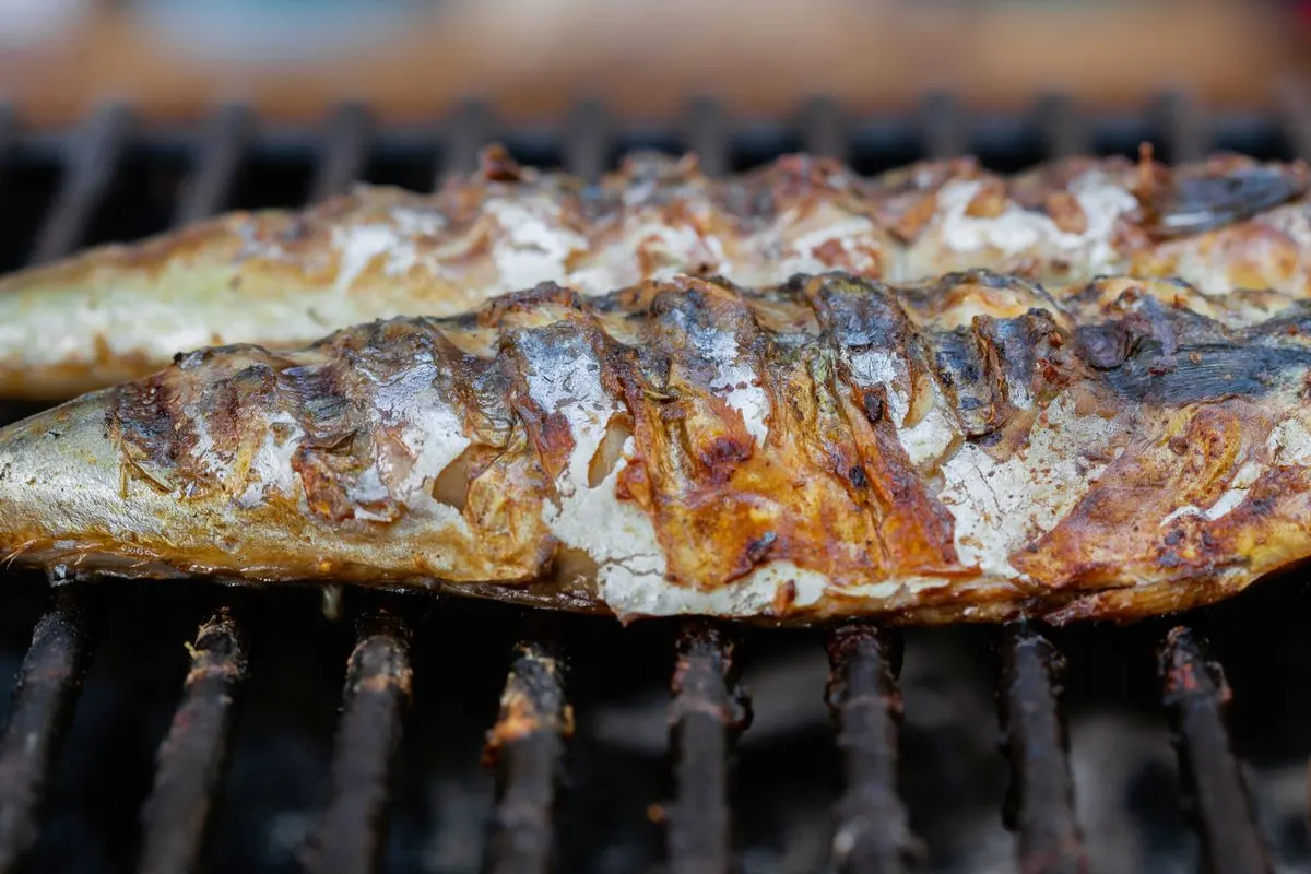 炭火の網の上で焼ける秋刀魚