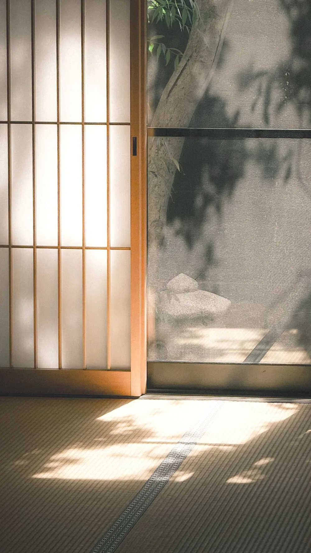 障子越しにやわらかな光と木の葉の影が落ちる和室