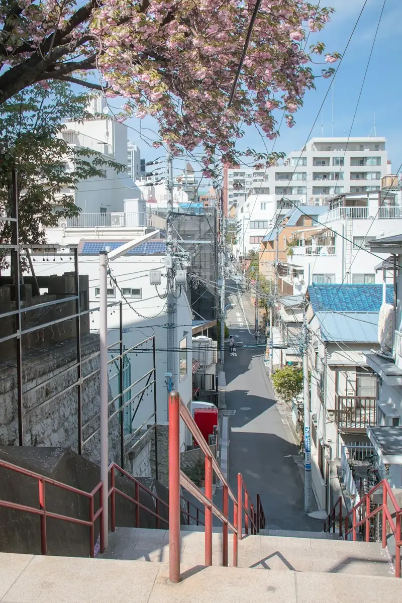 桜の咲く坂道と街並み
