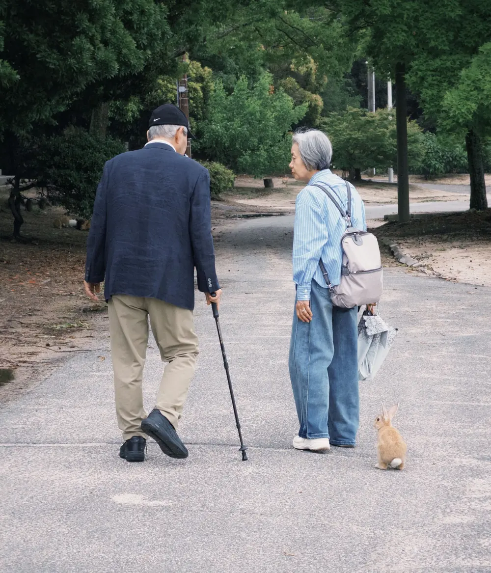公園の小道を並んで歩く年配のご夫婦の後ろ姿